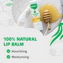 Glohe_Lip Balm Honey_Image 2.webp